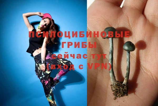 МДПВ Беломорск