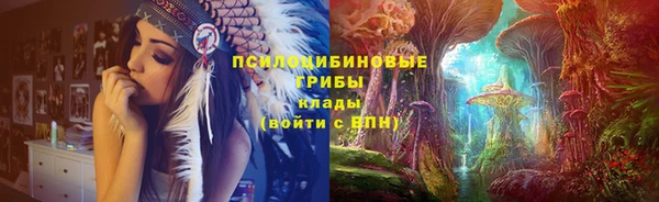 кокаин Белокуриха