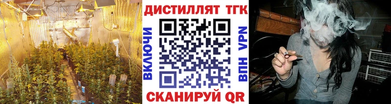 Дистиллят ТГК Wax  Заволжск 