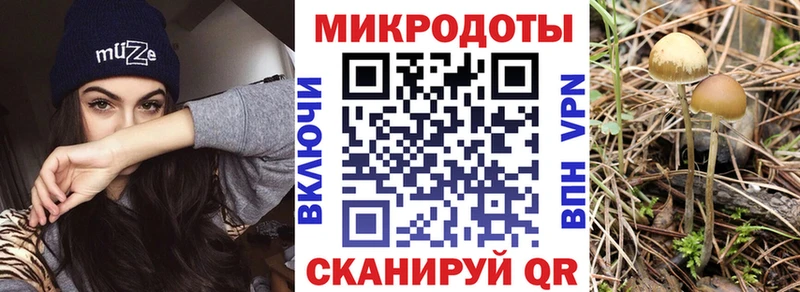 МЕГА сайт  дарк нет состав  Заволжск  Псилоцибиновые грибы ЛСД  купить  цена 